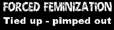 forcedfeminized